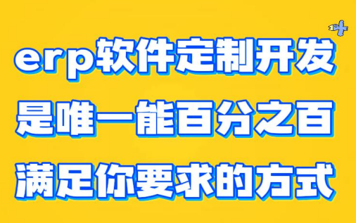 erp軟件定制開發(fā)是唯一能百分之百滿足你要求的方式